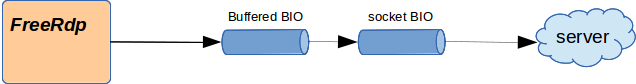 BIO with RDP security